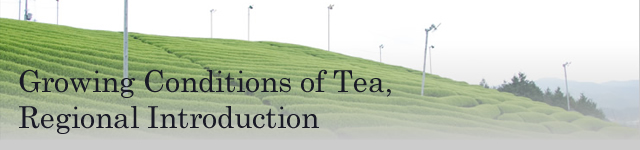 Growing Conditions of Tea, Regional Introduction